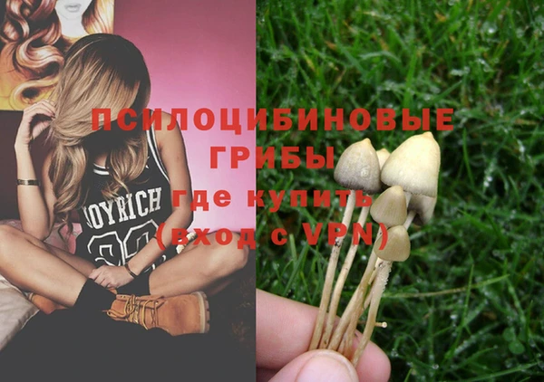 спайс Медногорск