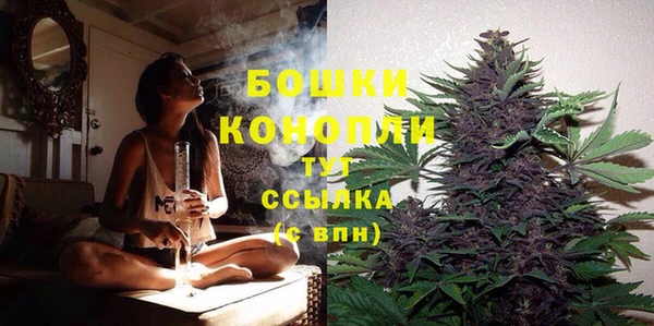 спайс Медногорск