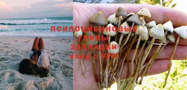 мдма Медвежьегорск