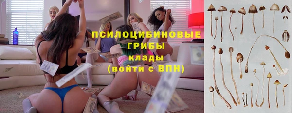 спайс Мегион