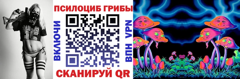 Купить где  Переславль-Залесский  Псилоцибиновые грибы MAGIC MUSHROOMS 